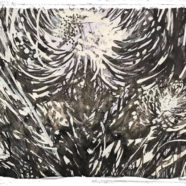 The primordial landscape of the wild